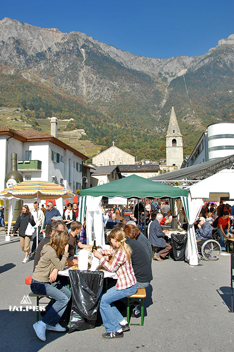 Dégustation de la brésolée