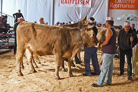 Foire du Valais à Martigny, Suisse