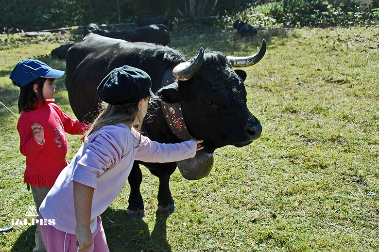 Enfants et une vache d'Hérens