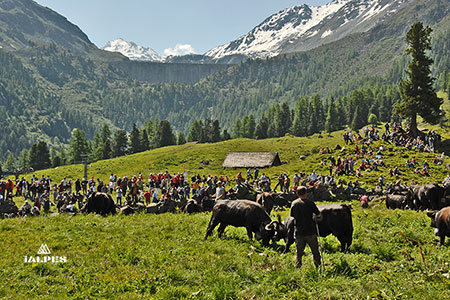 Inalpe à Nendaz