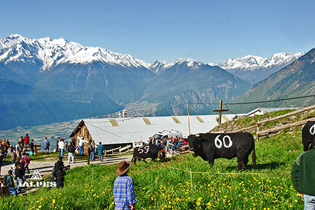 Inalpe de Randonnaz, Fully