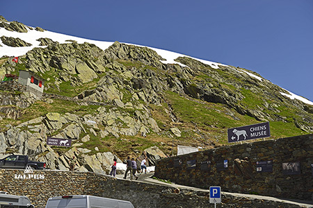 Musée du chien Saint-Bernard, Suisse