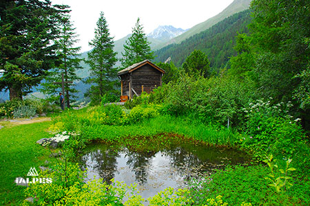 Parc et jardin alpin Valais, Suisse