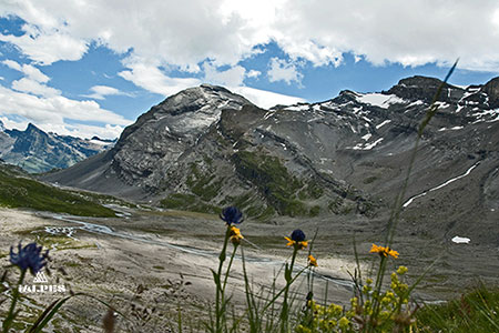 Leukerbad, plaine de la Gemmi