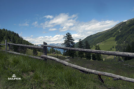 Balade en famille en Valais, Suisse