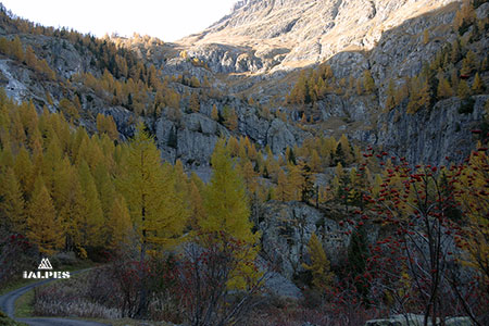 Vallon de Van, Valais
